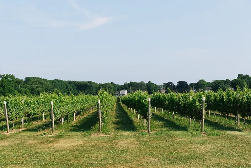 Sparkling Pointe Vineyards & Winery