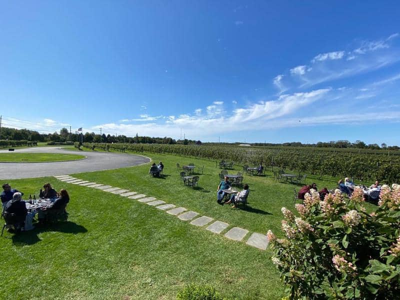 Croteaux Vineyards