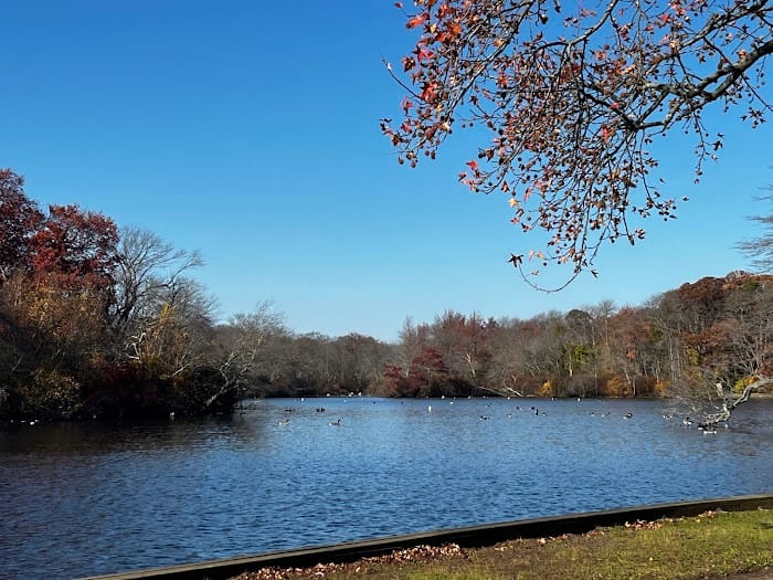 Belmont Lake State Park