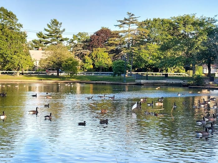 Silver Lake Park