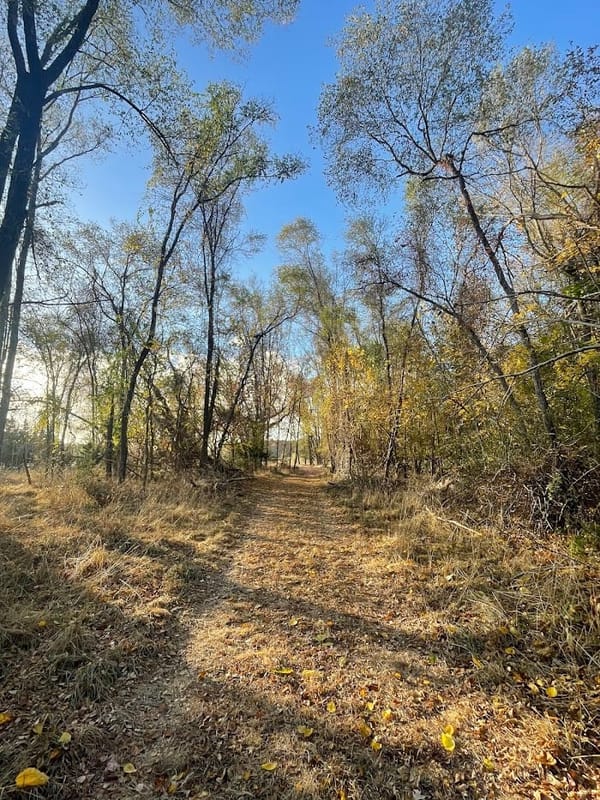 Broad Cove Preserve
