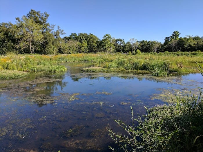 Swan River Preserve