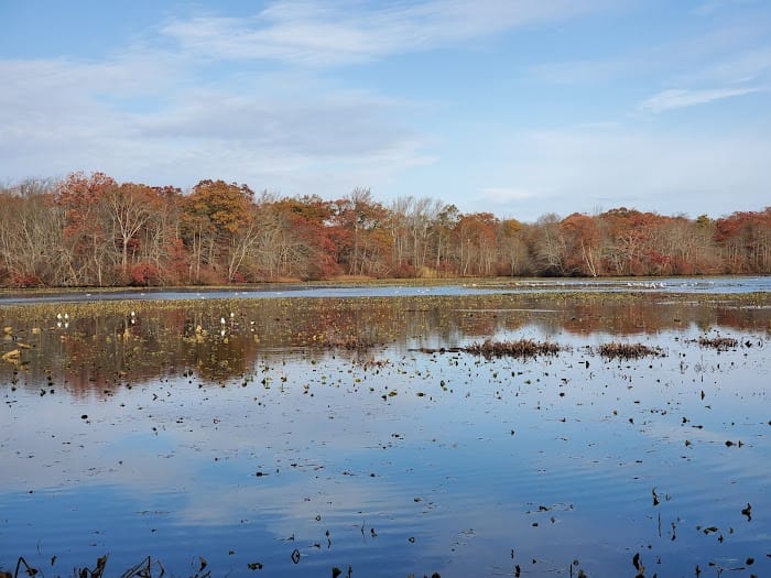 Mill Pond Preserve Wantagh
