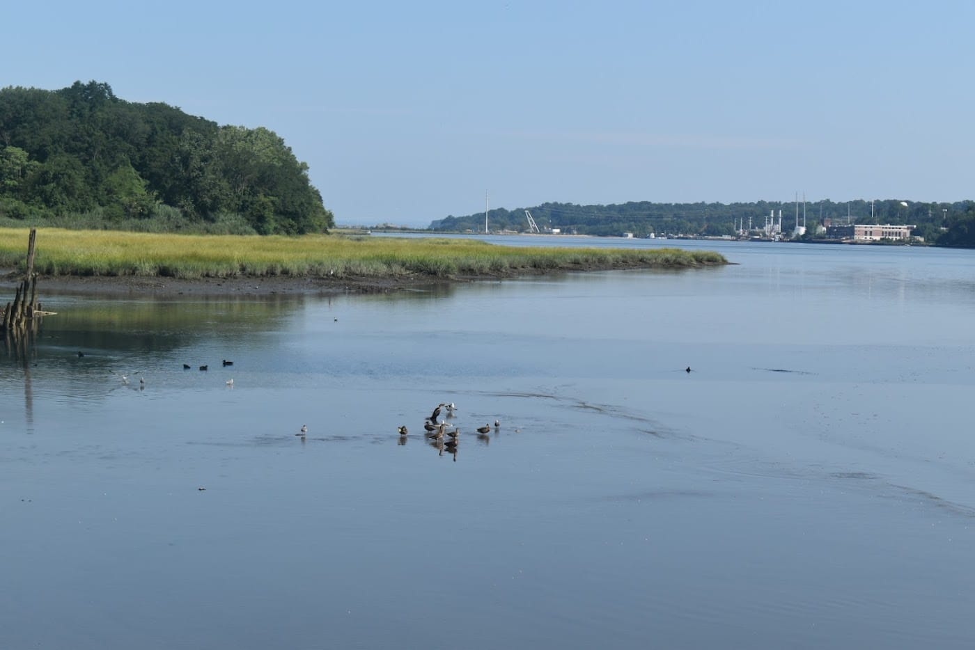 Roslyn, Long Island